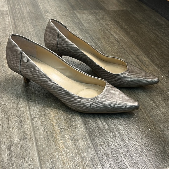 Calvin Klein Silver Heels with Pointed Toe and Low Heel - Picture 2 of 4